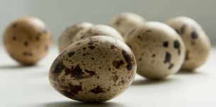 Quail eggs for potency